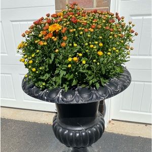 Meet your Posher, Tisha